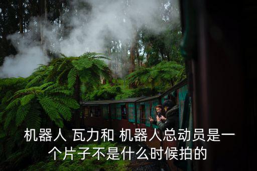  機(jī)器人 瓦力和 機(jī)器人總動(dòng)員是一個(gè)片子不是什么時(shí)候拍的