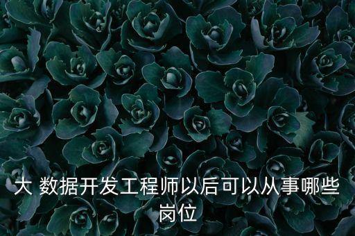 大 數(shù)據(jù)開發(fā)工程師以后可以從事哪些崗位