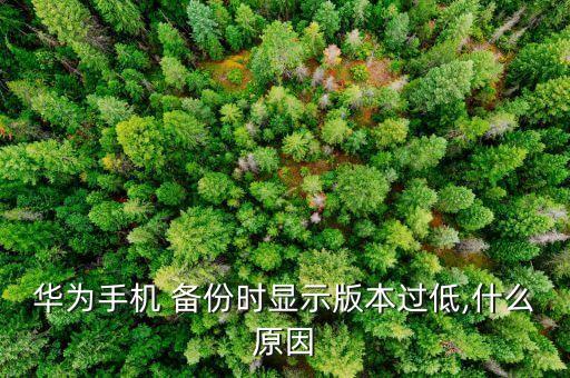 華為手機(jī) 備份時(shí)顯示版本過(guò)低,什么原因