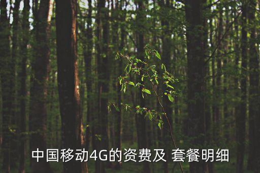 中國移動4G的資費及 套餐明細