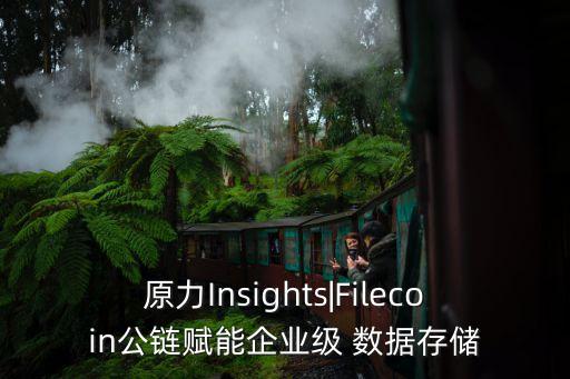 原力Insights|Filecoin公鏈賦能企業(yè)級(jí) 數(shù)據(jù)存儲(chǔ)