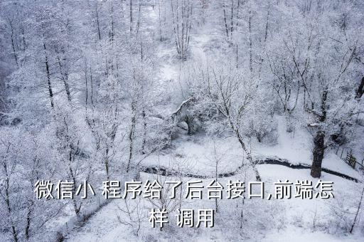  微信小 程序給了后臺接口,前端怎樣 調(diào)用