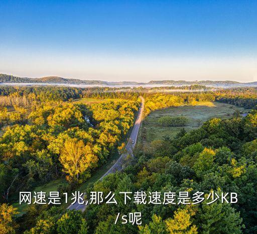 網(wǎng)速是1兆,那么下載速度是多少KB/s呢