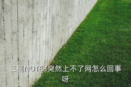 三星NOTE3突然上不了網(wǎng)怎么回事呀