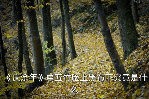 機器人的眼睛什么樣的,現(xiàn)在機器人的眼睛有什么功能