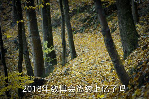 2018年數(shù)博會簽約上億了嗎