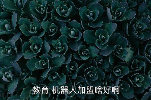  教育 機(jī)器人加盟啥好啊
