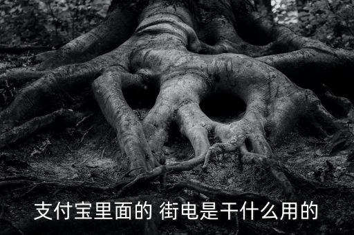 支付寶里面的 街電是干什么用的
