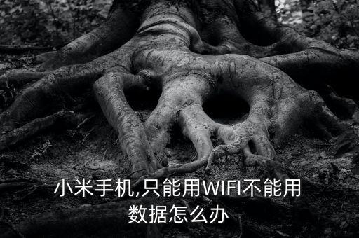 小米如何使用數(shù)據(jù)網(wǎng)絡(luò)設(shè)置