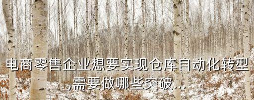 電商零售企業(yè)想要實(shí)現(xiàn)倉庫自動化轉(zhuǎn)型,需要做哪些突破...