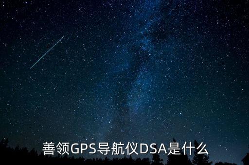 善領(lǐng)dsa專業(yè)版數(shù)據(jù)389