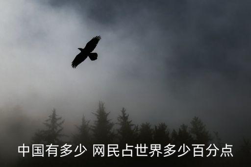中國有多少 網(wǎng)民占世界多少百分點(diǎn)