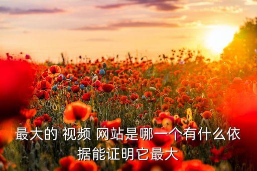 最大的 視頻 網(wǎng)站是哪一個有什么依據(jù)能證明它最大
