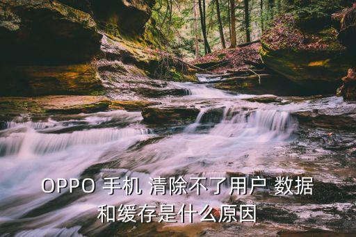手機(jī)沒有清除數(shù)據(jù),手機(jī)清除數(shù)據(jù)了怎么恢復(fù)回來