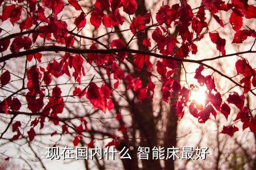 現(xiàn)在國內(nèi)什么 智能床最好