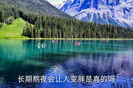 最晚睡的城市數(shù)據(jù)