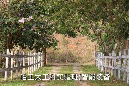 哈工大機器人就業(yè)