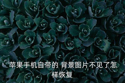  蘋果手機(jī)自帶的 背景圖片不見了怎樣恢復(fù)