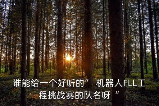 誰能給一個好聽的” 機器人FLL工程挑戰(zhàn)賽的隊名呀“