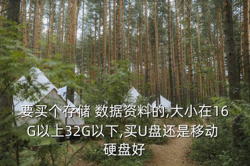 要買個存儲 數(shù)據(jù)資料的,大小在16G以上32G以下,買U盤還是移動 硬盤好