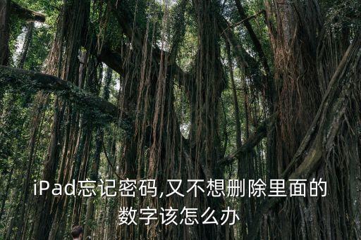 ipad上的數(shù)據(jù)怎么才能不丟失
