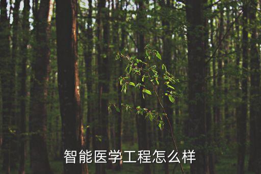 國(guó)際機(jī)器人聯(lián)合會(huì)
