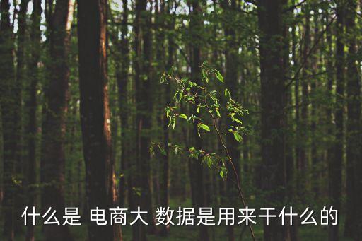 大數(shù)據(jù) 電商