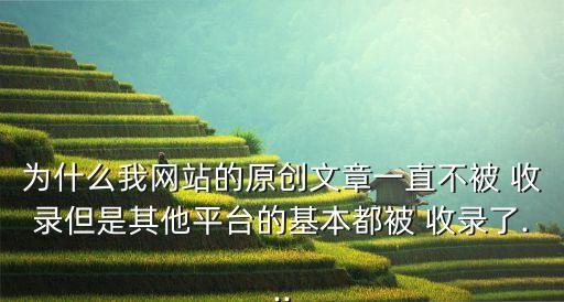 為什么我網(wǎng)站的原創(chuàng)文章一直不被 收錄但是其他平臺的基本都被 收錄了...