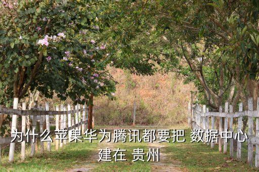 貴州國家級大數(shù)據(jù)中心,貴州為什么會成為大數(shù)據(jù)中心