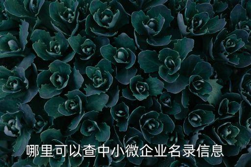 中小企業(yè)數(shù)據(jù)從哪找,2022中小企業(yè)現(xiàn)狀數(shù)據(jù)