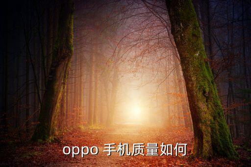oppo 手機(jī)質(zhì)量如何