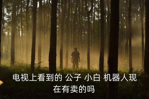 電視上看到的 公子 小白 機(jī)器人現(xiàn)在有賣的嗎