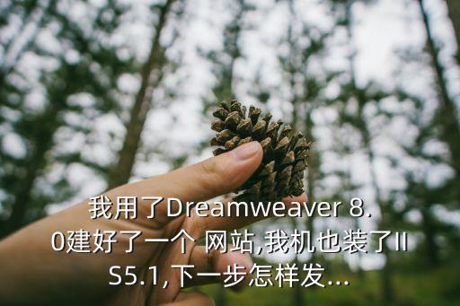 我用了Dreamweaver 8.0建好了一個 網(wǎng)站,我機(jī)也裝了IIS5.1,下一步怎樣發(fā)...