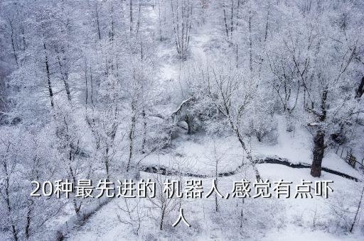 玩具仿生蜘蛛機器人,仿生蜘蛛機器人結構設計說明