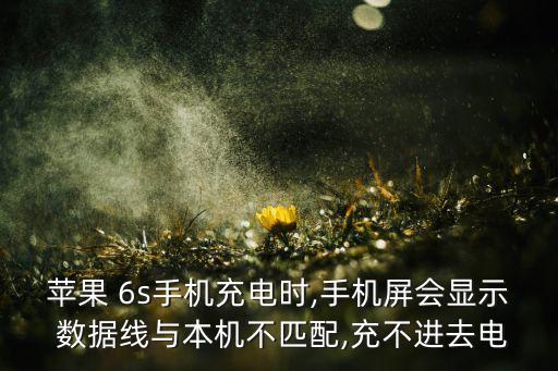 6s數(shù)據(jù)線電,蘋果6s數(shù)據(jù)線