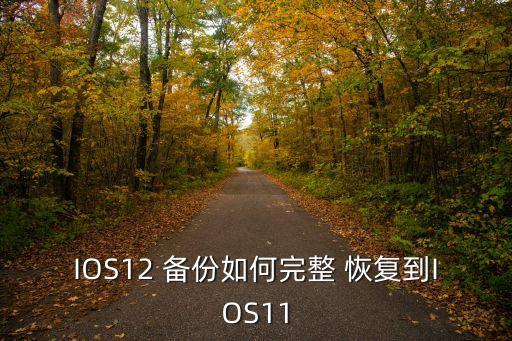 ios恢復(fù)備份前數(shù)據(jù),備份的數(shù)據(jù)怎么恢復(fù)到手機上