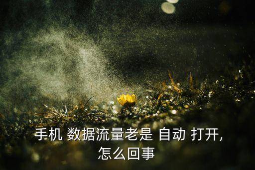  手機 數(shù)據(jù)流量老是 自動 打開,怎么回事