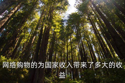 網(wǎng)絡(luò)購物的為國家收入帶來了多大的收益
