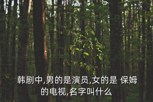  韓劇中,男的是演員,女的是 保姆的電視,名字叫什么