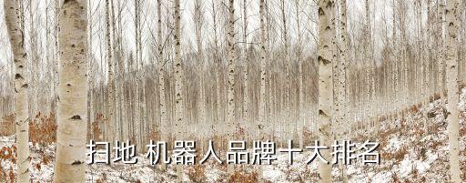 最好看的機(jī)器人是什么牌子好,clean掃地機(jī)器人是什么牌子
