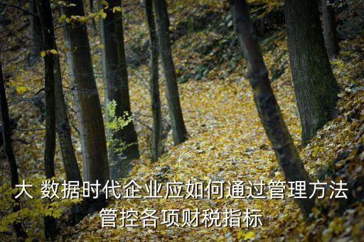 大 數(shù)據(jù)時代企業(yè)應如何通過管理方法管控各項財稅指標