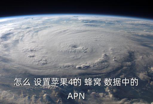 怎么 設置蘋果4的 蜂窩 數據中的APN