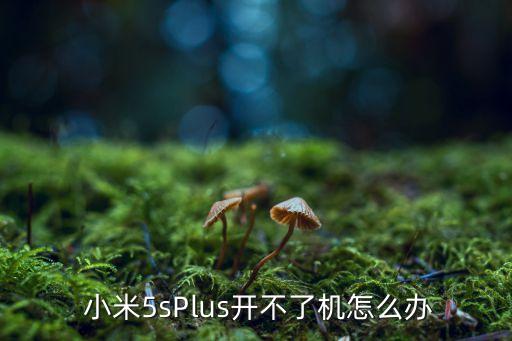 小米5splus數(shù)據(jù)線圖片