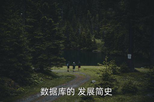 數(shù)據(jù)管理技術(shù)發(fā)展