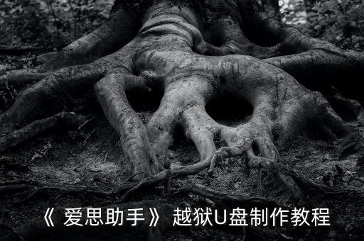 《 愛思助手》 越獄U盤制作教程