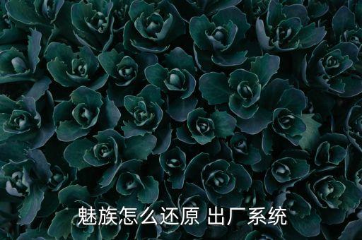  魅族怎么還原 出廠系統(tǒng)