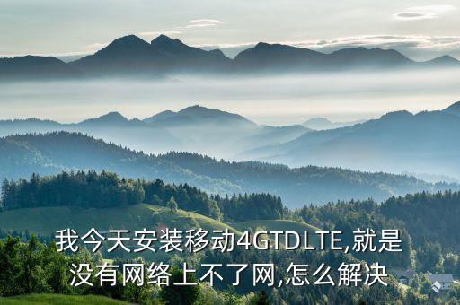 tdlte數(shù)據(jù)終端上不了網(wǎng),華為T(mén)DLTE無(wú)線數(shù)據(jù)終端怎么使用