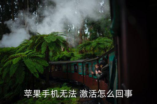 蘋果手機(jī)無法 激活怎么回事