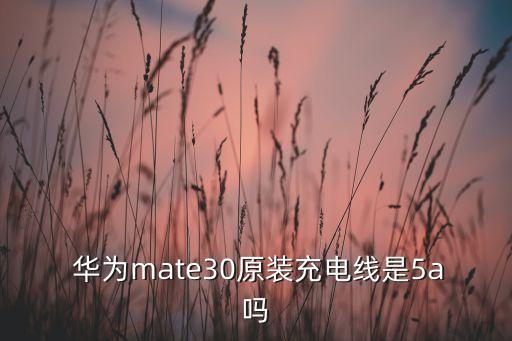  華為mate30原裝充電線是5a嗎