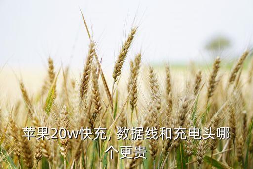 蘋果20w快充, 數(shù)據(jù)線和充電頭哪個更貴